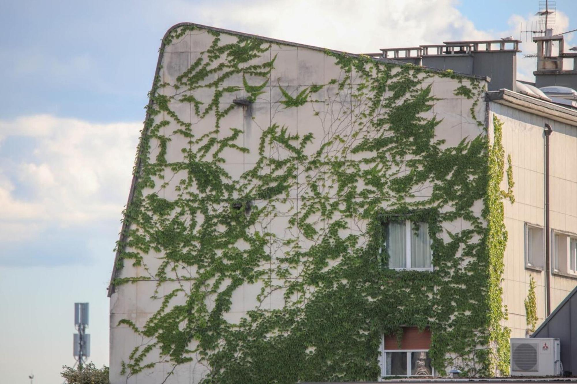 La Pause Annecienne Appartement Familial Annecy Exterior photo